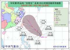 今年第9号台风“利奇马”生成!
