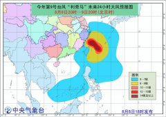 台风“利奇马”成今年风王 中心附近风力已达58米/秒