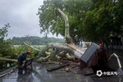 台风“利奇马”移出浙江 风雨明显减弱气温升至30℃+