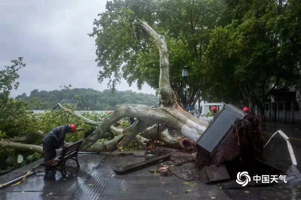 台风“利奇马”移出浙江 浙江风雨明显减弱气温升至30℃+