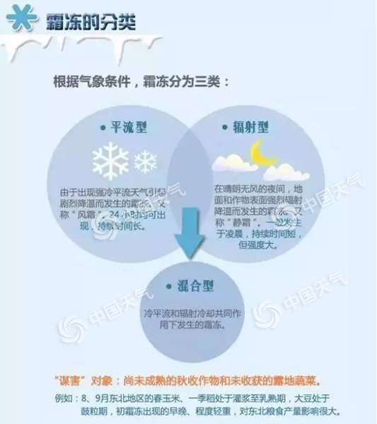 这个“杀手”有点冷——聊一聊不可大意的初霜冻