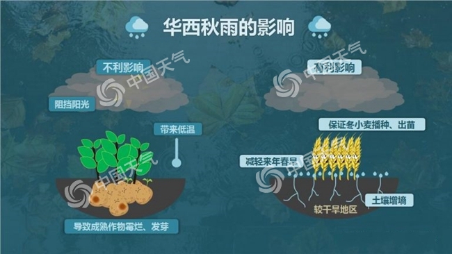 看完这篇科普 你就是最懂“华西秋雨”的仔