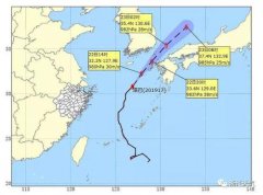 台风“塔巴”侵袭日本冲绳 数人受伤数百航班取消