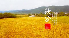 秋分时节,白癜风患者该如何养生?