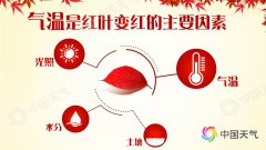红叶观赏地图出炉 哪些地方红叶观赏正当时?