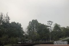 广东潮湿多雨雾