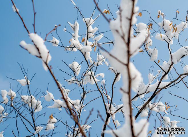 立冬节气特点介绍 立冬节气的气候有什么特点