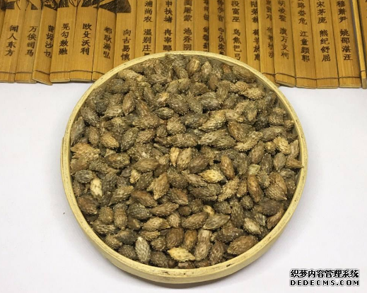 苍耳子的功效与作用 苍耳子的副作用是什么