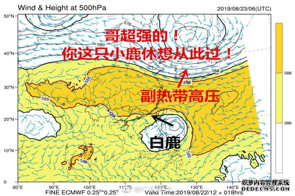 台风“白鹿”将正面袭击广东 