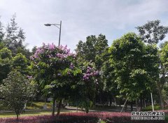 炎热是主调 雷雨来客串