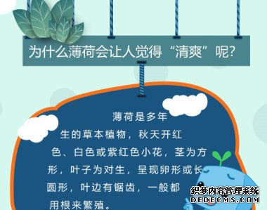 （气象图吧）为什么薄荷会让人觉得“清爽”呢？ （1）.jpg