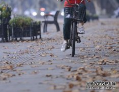 周末风雨雪“组团”进河