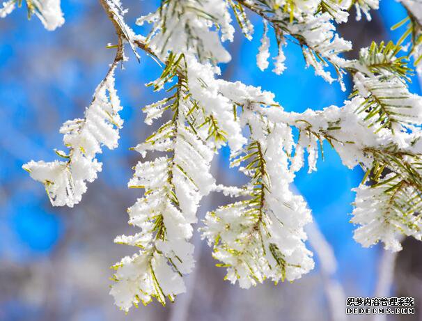 2019小雪是农历几月几日 今年小雪节气具体时间