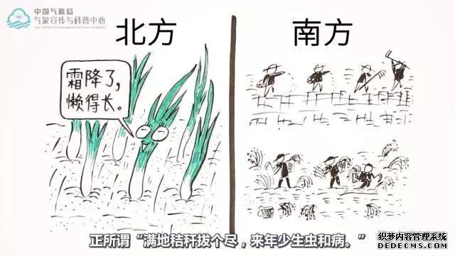 【创意动画】霜降的霜从哪来？