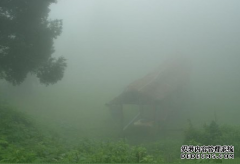 梅雨天哪些地方严重