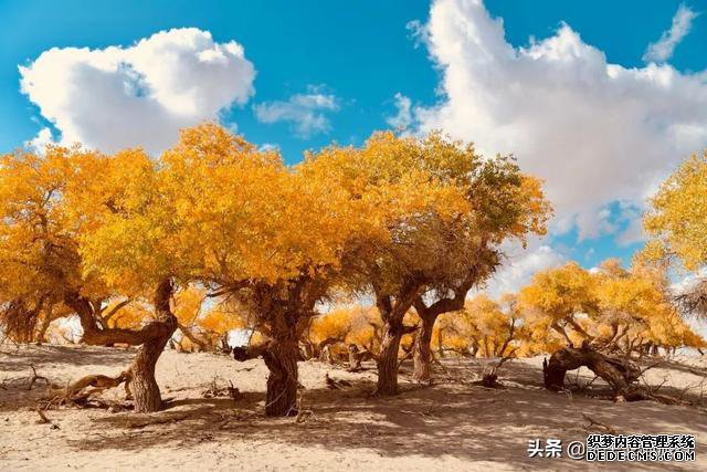 适合一个人旅行的二十个地方，累了就出去走一走