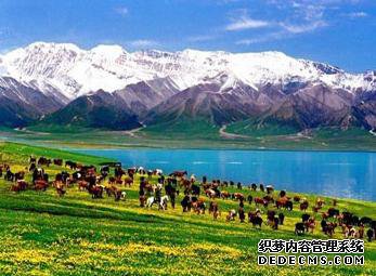 第一次去新疆旅游，北疆、南疆怎么选？不妨看看"他们"怎么说