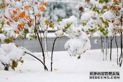 2019年春节快到了，我们用俗语来预测一下雨雪多吗？