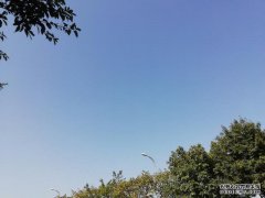 天气快报！陕西22日—27日