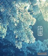 今日小雪 | 迎冬小雪至，
