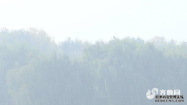 海丽气象吧∣山东发布大雾黄色预警信号 9个市出现大雾天气