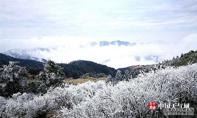 这个冬天去哪儿邂逅现实版“冰雪奇缘”？
