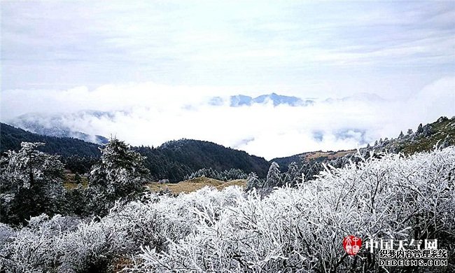 这个冬天去哪儿邂逅现实版“冰雪奇缘”？