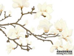 “有花而无叶”：与气温