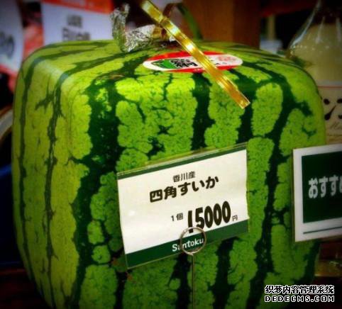 4种在国外很贵的美食,在中国却很廉价,外国眼里:中国人吃不起