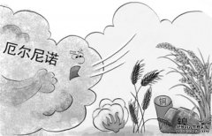 厄尔尼诺现象是指什么