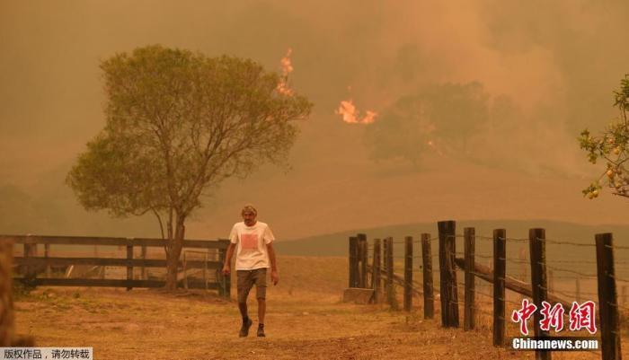 近日，在澳大利亚新南威尔士州和昆士兰州面临灾难性的火灾威胁之际，联邦防长雷诺兹正考虑动用强制军事命令，以帮助应对丛林火灾紧急情况。