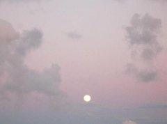 今年立夏是几月几日