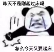 你从睁开眼睛到真正离开