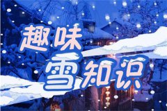 一图了解趣味雪知识