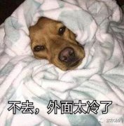 天气越冷就越要健身吗？