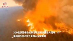广东太干了！84市县发森林