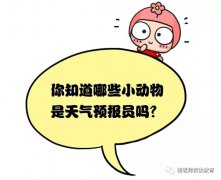 气象小知识，建议家长们