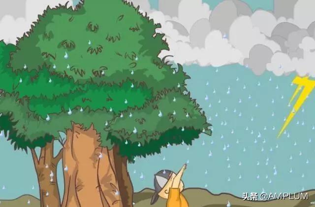 被电的是懂电的,你被电过吗?雷雨天气防触电知识要牢记
