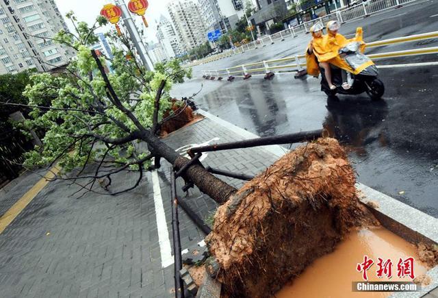 夏季雷雨天气这些常识你都了解了吗？