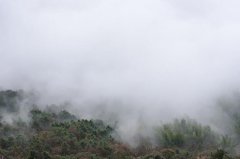 雨水食疗养生怎么样比较