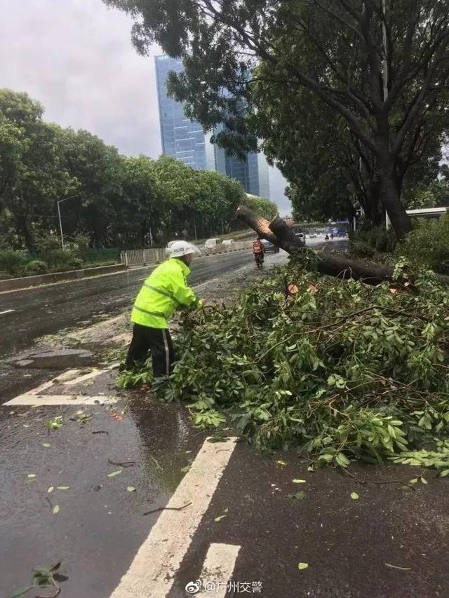 台风天注意做好防御，这些列车、班次、景区停运、关停！