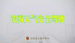 及时打开雾灯、示廓灯、