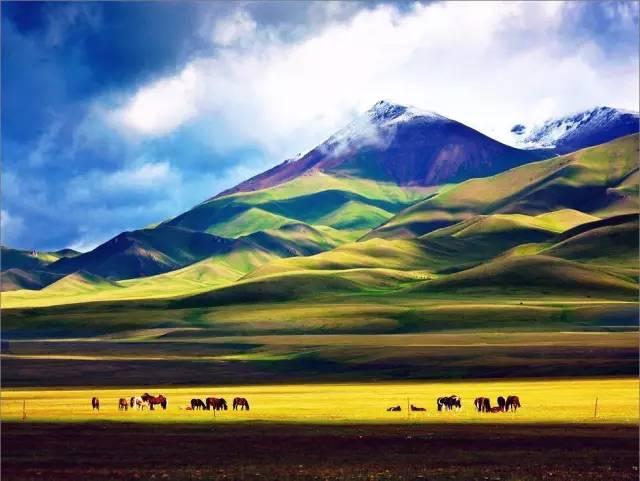2020年去一趟新疆，这些美景一个都不能少