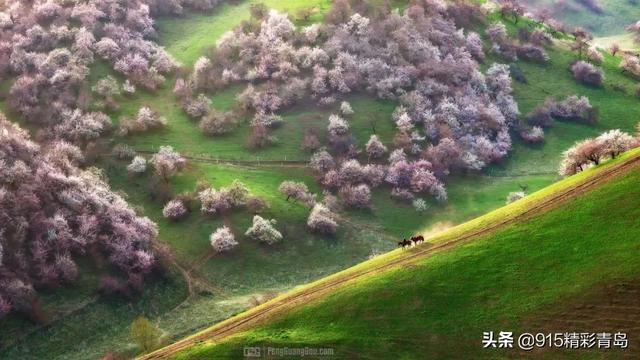 独自旅行去哪里?这10个美到极致的地方,倦了累了就挑一个出发