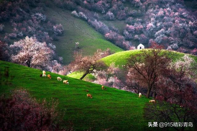 独自旅行去哪里?这10个美到极致的地方,倦了累了就挑一个出发
