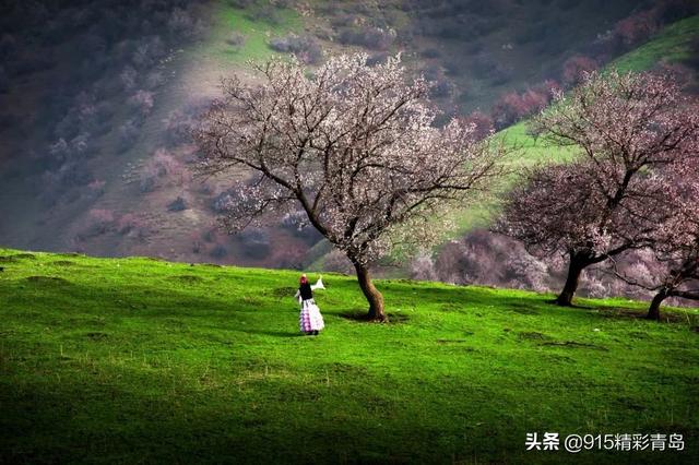 独自旅行去哪里?这10个美到极致的地方,倦了累了就挑一个出发