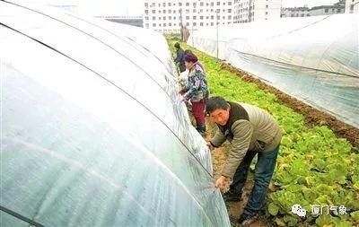 攻略强冷空气,方法在这里