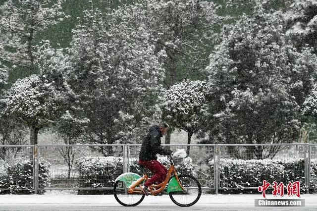 生活 | 雪!雪!雪!冷空气搞了个大新闻