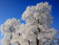 小雪是什么意思 各方面养
