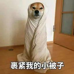 除了雨雨雨!还有雪?南京接下来天气冷得让人直打颤……